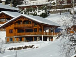 The chalet in summer and winter 1