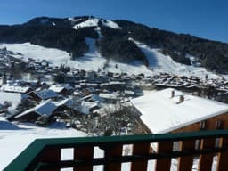 The chalet in summer and winter 12