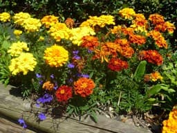 The chalet in summer and winter 17