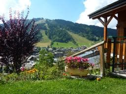 The chalet in summer and winter 24