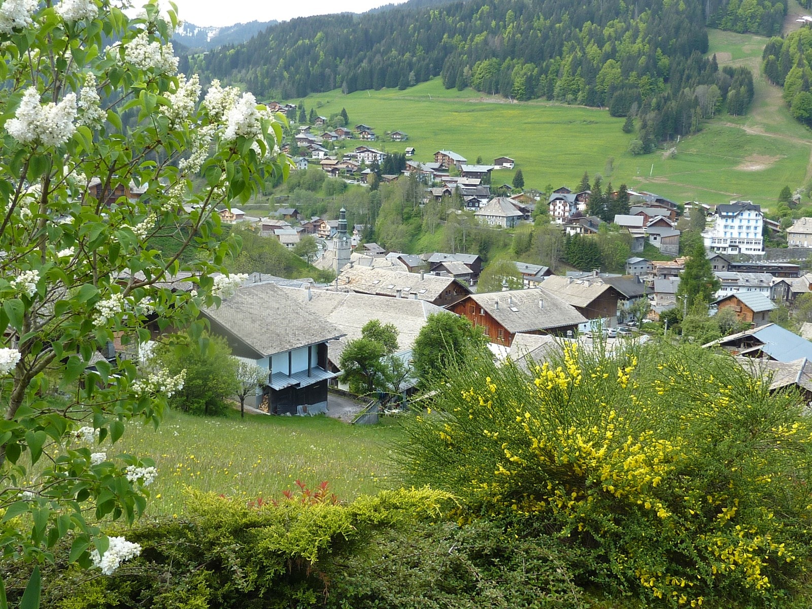La vista desde el chalet 4